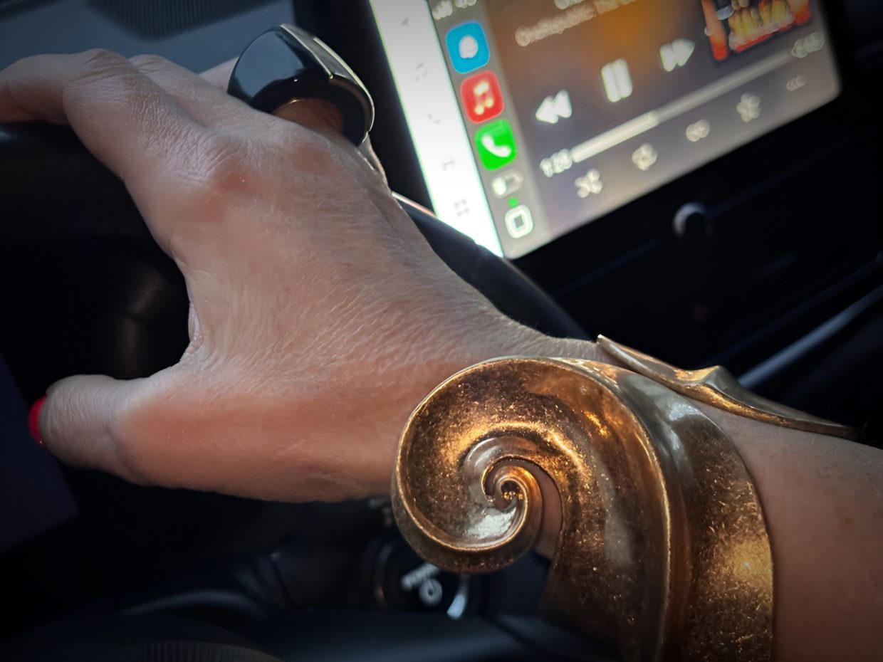 Aș putea fi arestată ca fraiera, din cel mai tembel (dar strălucitor) motiv