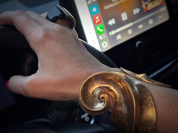 Aș putea fi arestată ca fraiera, din cel mai tembel (dar strălucitor) motiv